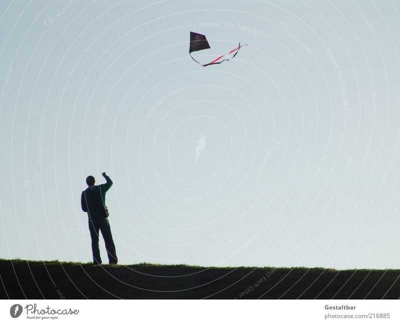 Tanz im Wind Mensch maskulin 1 Natur Erde Himmel Wiese Zeichen beobachten fliegen laufen stehen frei frisch blau schwarz Freude Kraft Gelassenheit geduldig