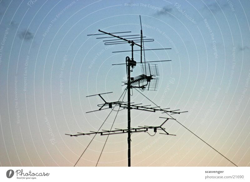 Antenne Funktechnik Dach Horizont Sonnenuntergang Sonnenaufgang Wolken Licht schwarz Elektrisches Gerät Technik & Technologie Stab Metall Himmel Schatten