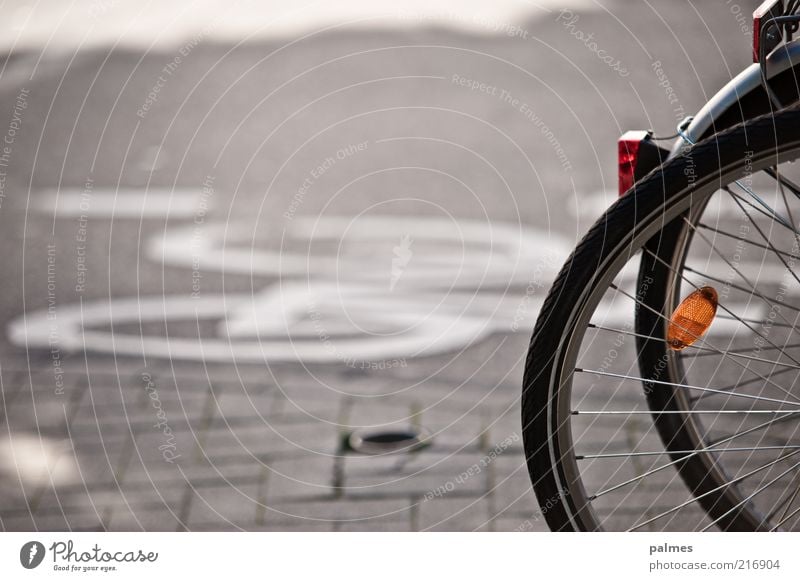 Fahr Rad! Fahrrad Fahrradreifen Ferien & Urlaub & Reisen Verkehr Verkehrsmittel Verkehrswege Straße grau Farbfoto Gedeckte Farben Außenaufnahme Menschenleer Tag