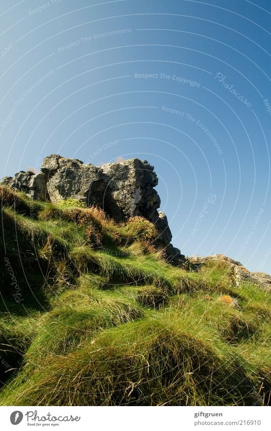 grasgrenze Umwelt Natur Landschaft Himmel Wolkenloser Himmel Pflanze Gras Hügel Felsen Berge u. Gebirge Gipfel hoch bewachsen Stein steinig Höhepunkt Farbfoto