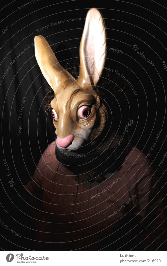 darkRabbit Mensch 1 Maske Tier Hase beobachten Blick außergewöhnlich bedrohlich Coolness dunkel gruselig lustig Neugier trashig verrückt braun rosa bizarr