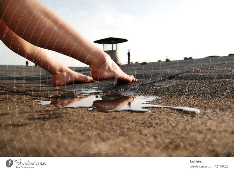 hot roof atmen berühren ästhetisch frei nass braun Freude Zufriedenheit Pfütze Farbfoto Außenaufnahme Tag Schatten Kontrast Sonnenlicht Schwache Tiefenschärfe