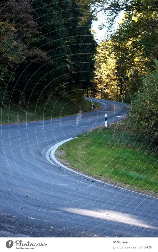 S Ferien & Urlaub & Reisen Natur Baum Sträucher Wald Verkehrswege Autofahren Straße Wege & Pfade Perspektive Ziel zielstrebig Kurve Eifel Sonnenlicht Herbst