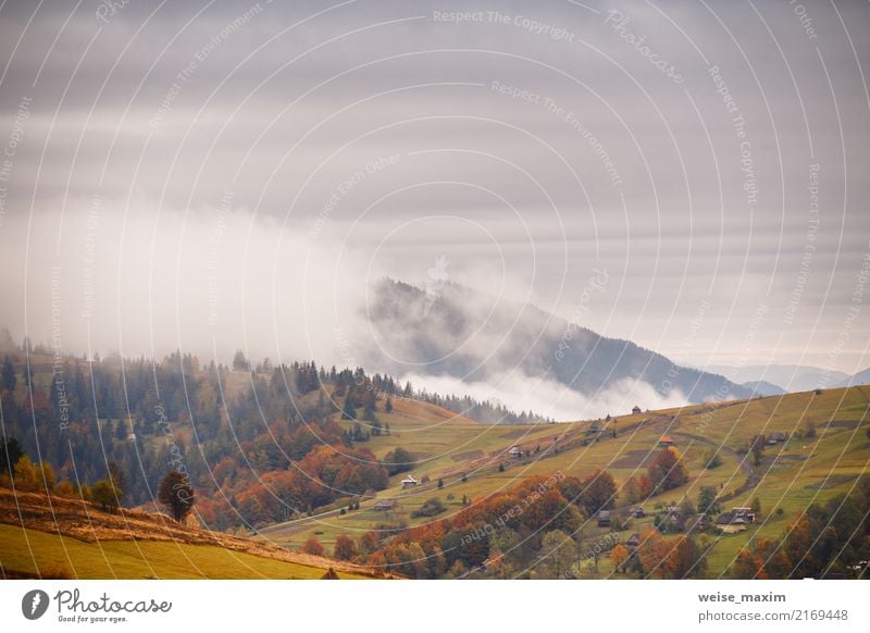 Gebirgsherbstlandschaft mit buntem Wald. Nebelwolken. schön Ferien & Urlaub & Reisen Berge u. Gebirge Haus Umwelt Natur Landschaft Pflanze Himmel Wolken Herbst