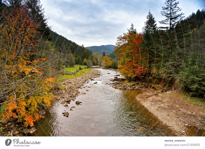 Bewölkte regnerische Falllandschaft. Helle Holz Herbstfarben Ferien & Urlaub & Reisen Tourismus Ausflug Ferne Freiheit Berge u. Gebirge Umwelt Natur Landschaft