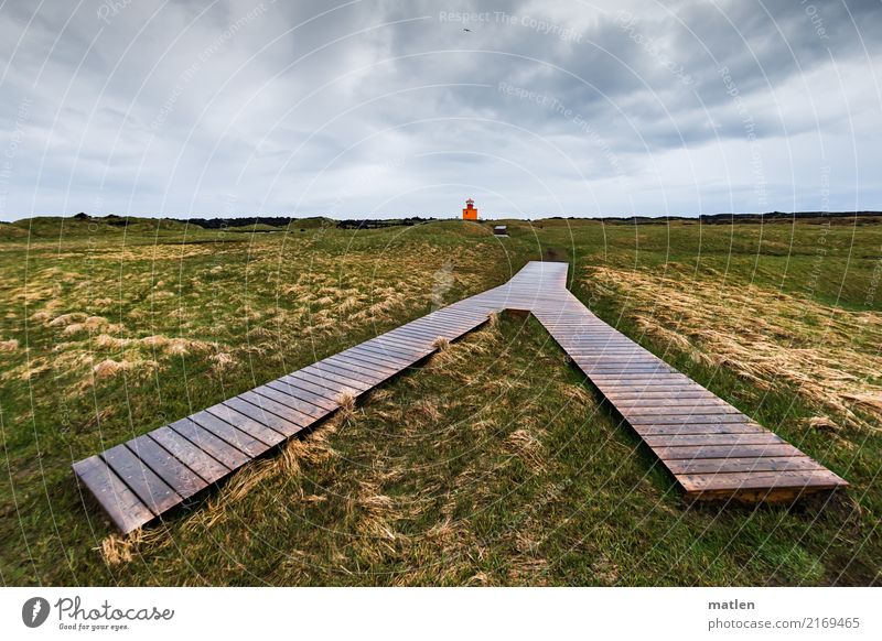 alle Wege führen nach Rom Landschaft Pflanze Himmel Wolken Horizont Frühling Wetter schlechtes Wetter Wind Regen Gras Felsen Moor Sumpf Leuchtturm Wege & Pfade