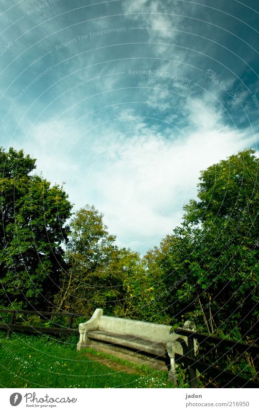 gud bänk. elegant Erholung Möbel Natur Landschaft Sträucher Park Stein alt schön Einsamkeit ästhetisch Verfall Vergänglichkeit Bank Parkbank Außenaufnahme