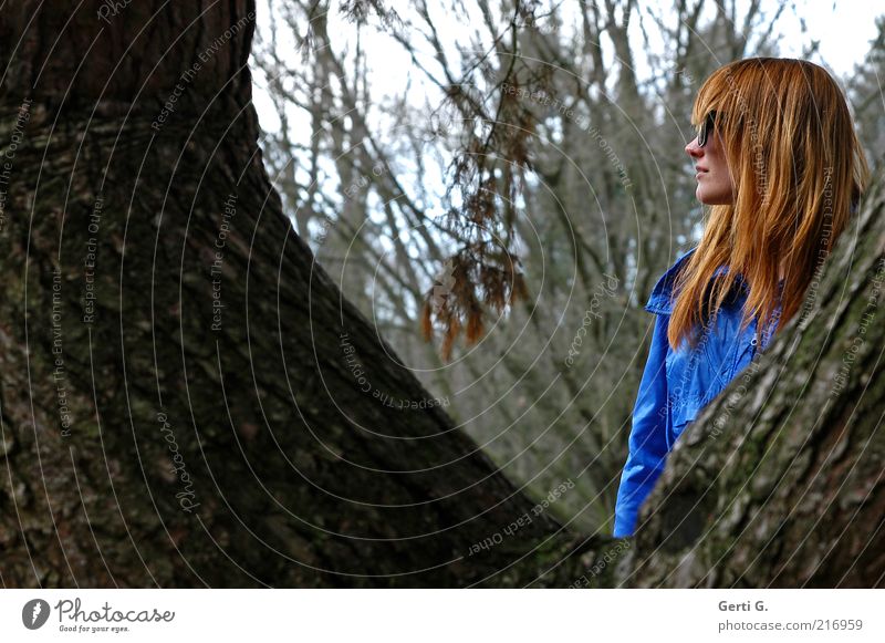 ZwischenSpiel Frau Baum Brille Wald langhaarig Sonnenbrille zwischen verstecken verdeckt Profil Seite Porträt royalblau Baumrinde dunkelgrün Ast Jacke