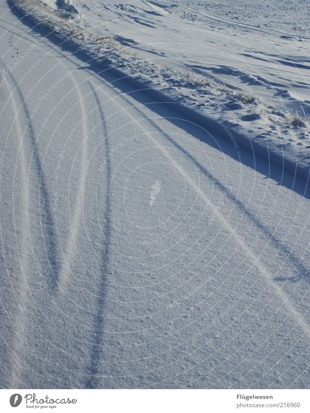 Schnee von gestern Winter Umwelt Natur Landschaft Klima Klimawandel Eis Frost kalt Schneelandschaft Schneewehe Schneedecke Spuren Winterstimmung Wintertag