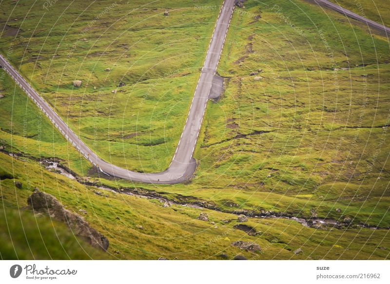 Nu aber zackisch Berge u. Gebirge Umwelt Natur Landschaft Urelemente Erde Wetter Wiese Straße Wege & Pfade außergewöhnlich grün gefährlich Føroyar Zickzack