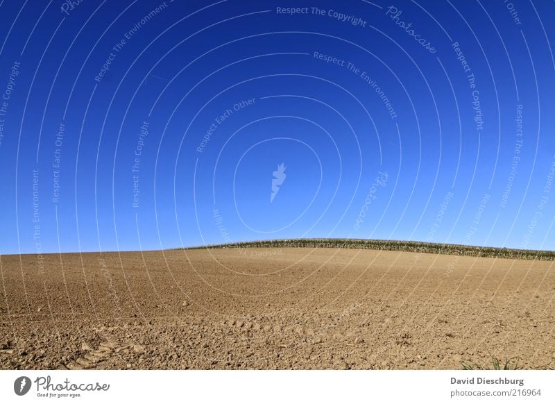 Weites Land Natur Landschaft Himmel Wolkenloser Himmel Herbst Schönes Wetter Wärme Dürre Feld blau braun Erde Boden Horizont Landwirtschaft gepflügt trocken