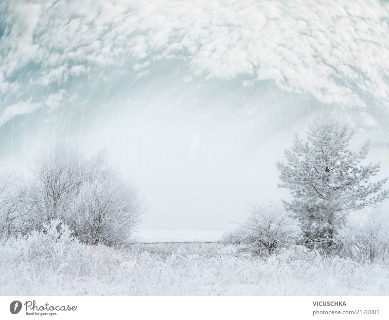 Winter Landschaft mit Schnee Lifestyle Garten Weihnachten & Advent Natur Himmel Sturm Nebel Schneefall Baum Gras Sträucher Park Hintergrundbild Schneesturm