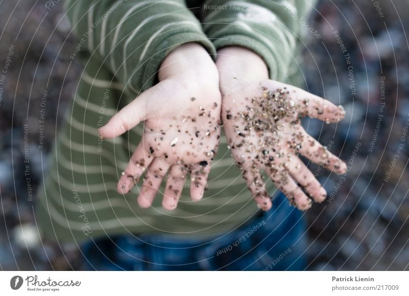 Clap your hands say Yeah Freude Glück Spielen Strand Kind Mensch Junge Hand Finger 3-8 Jahre Kindheit Umwelt Natur Küste Stein berühren entdecken dreckig frech