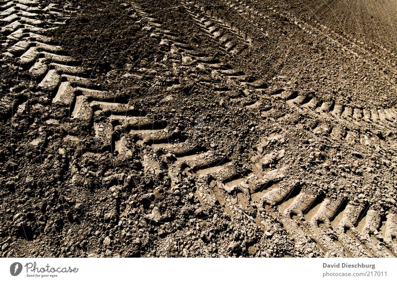 TRÄGÄ FAHRN Erde Dürre Feld braun Traktorspur Reifenprofil Spuren Lehm Ackerbau Landwirtschaft gepflügt trocken diagonal Farbfoto Außenaufnahme Detailaufnahme