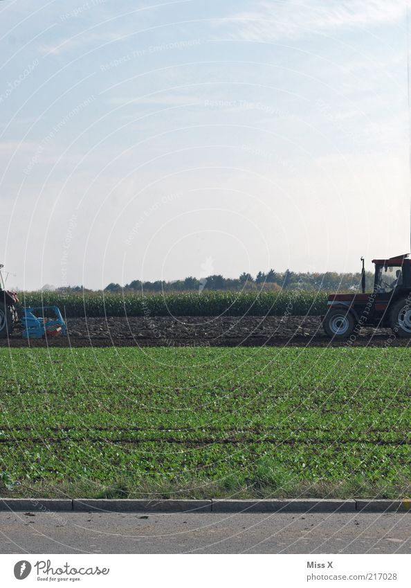 hinten wie vorne Feld Traktor fahren dreckig Landwirt Feldarbeit pflügen Straße Landwirtschaft Herbst Farbfoto Außenaufnahme Textfreiraum oben Tag Ernte