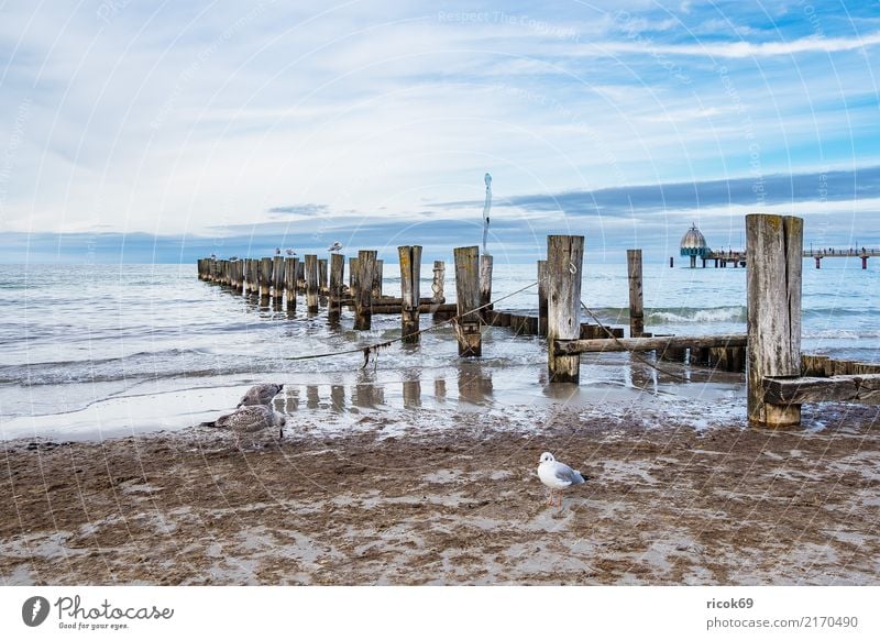 Buhnen am Strand von Zingst Erholung Ferien & Urlaub & Reisen Tourismus Meer Wellen Natur Landschaft Wasser Wolken Wetter Küste Ostsee blau Idylle