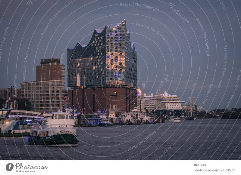 Hamburg meine Perle Hafen Elbphilharmonie Hafenrundfahrt Elbe Kehrwiederspitze Dampfschiff Dämmerung Wasser