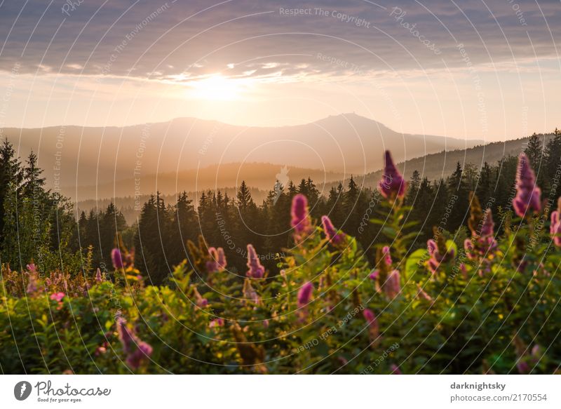 Großer und kleiner Arber im Bayerischen Wald harmonisch Meditation Ferien & Urlaub & Reisen Ferne Sommerurlaub Berge u. Gebirge wandern Klettern Bergsteigen