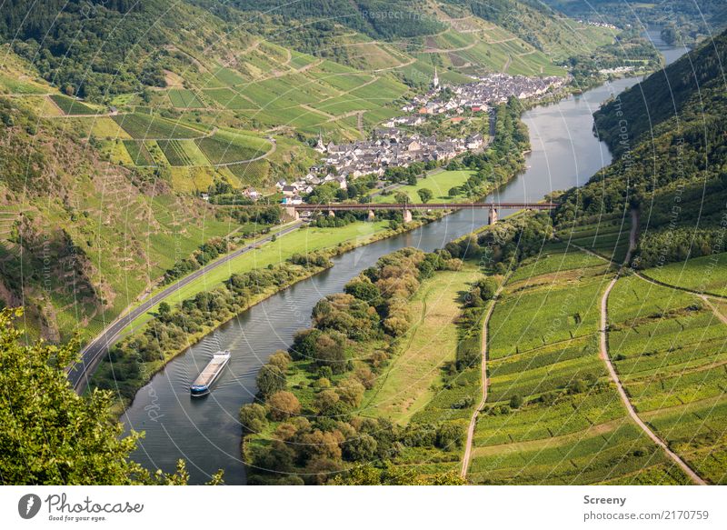 An der Mosel... Ferien & Urlaub & Reisen Tourismus Ausflug Natur Landschaft Pflanze Wasser Sommer Schönes Wetter Baum Sträucher Hügel Fluss