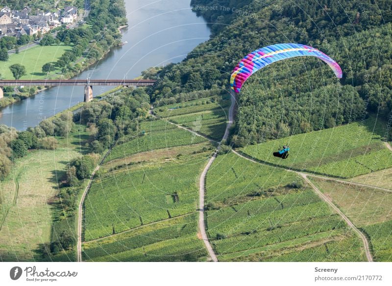 Vorbeiflug Ferien & Urlaub & Reisen Tourismus Ausflug Abenteuer Sommer Sport Gleitschirmfliegen Mensch maskulin 1 Natur Landschaft Pflanze Wasser Schönes Wetter