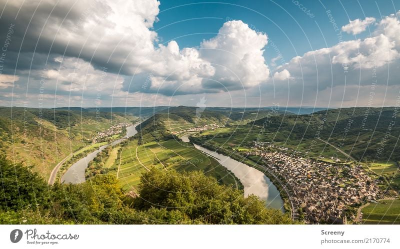 An der Mosel #3 ... Ferien & Urlaub & Reisen Tourismus Ausflug Natur Landschaft Pflanze Wasser Himmel Wolken Sommer Schönes Wetter Hügel Flussufer