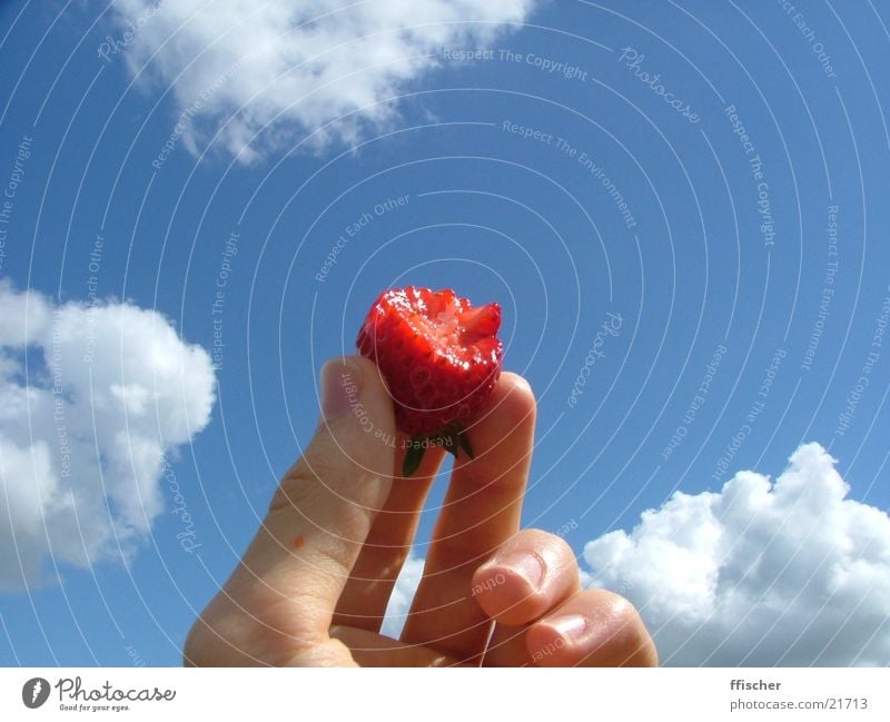 Erdbeergott Wolken Hand obskur Himmel blau Erdbeeren Frucht Ernährung