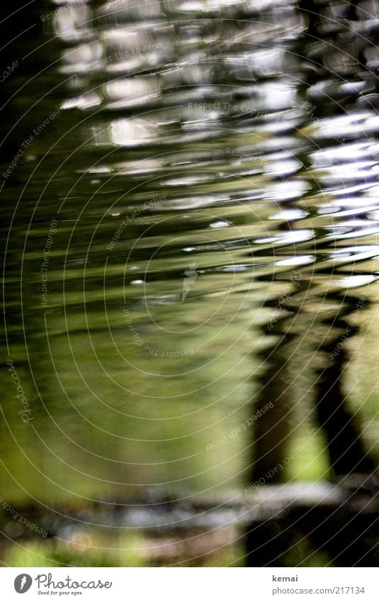 Wellen Umwelt Natur Wasser Sonnenlicht Sommer Bach Fluss dunkel nass grün kräuseln Reflexion & Spiegelung Wasseroberfläche Farbfoto Gedeckte Farben