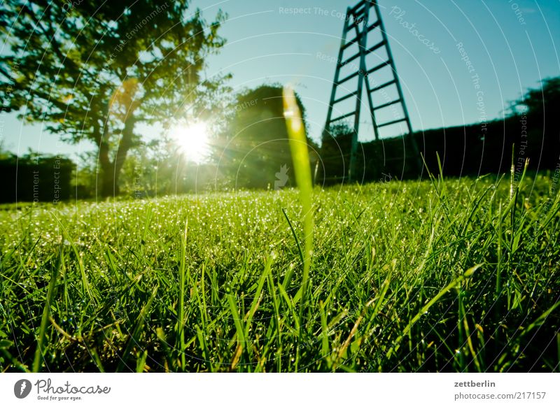 A Groovy Kind Of Tautropfenmakro Garten Umwelt Natur Landschaft Himmel Gras Hoffnung Oktober Morgen Leiter Baum Hecke Grundstück Rasen Farbfoto Außenaufnahme