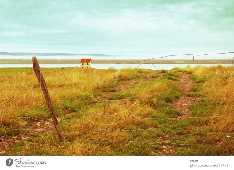 Weg zum Haus Ferien & Urlaub & Reisen Umwelt Natur Landschaft Urelemente Horizont Schönes Wetter Wiese Küste Seeufer Fluss Hütte Wege & Pfade Einsamkeit Weide