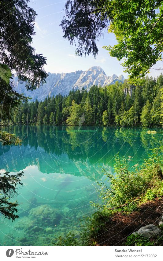 Fusine 2 Wohlgefühl Erholung ruhig Duft Schwimmen & Baden Sommer Sommerurlaub Berge u. Gebirge wandern Umwelt Natur Landschaft Pflanze Luft Wasser