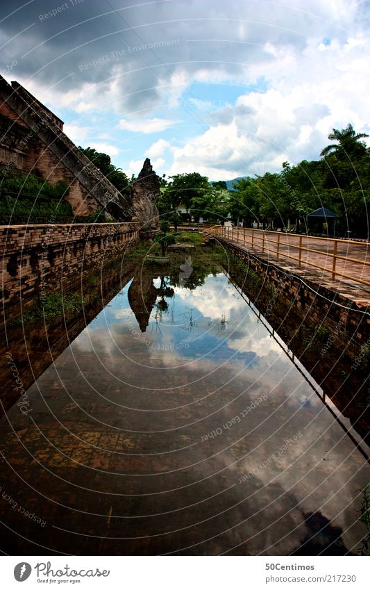 Tempel in Thailand Sightseeing Städtereise Expedition Natur Landschaft Urelemente Himmel Wolken Sommer Schönes Wetter Grünpflanze Wildpflanze Urwald Teich