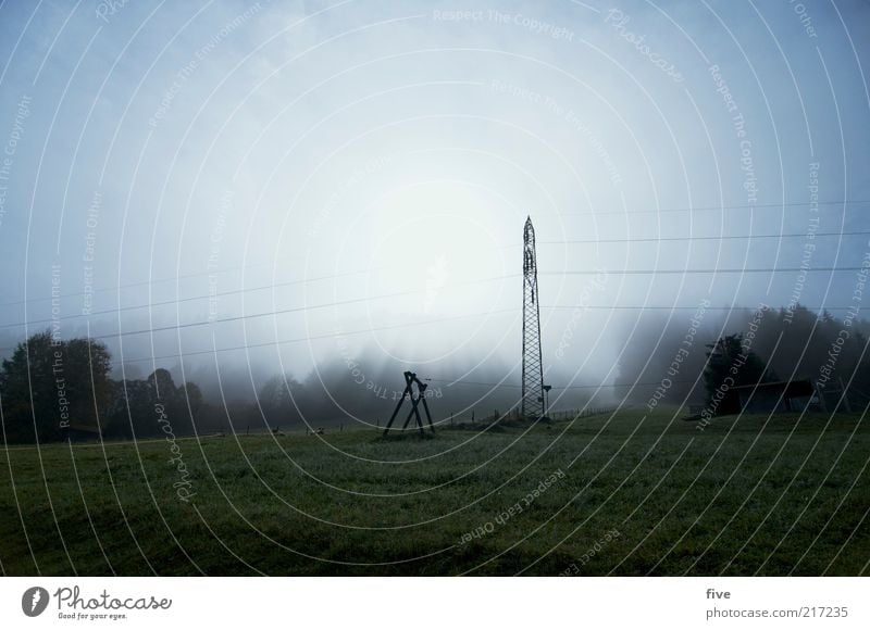 going am wilden kaiser Umwelt Natur Landschaft Wetter Nebel Pflanze Baum Wiese Feld Alpen Berge u. Gebirge kalt Strommast Farbfoto Außenaufnahme Morgen