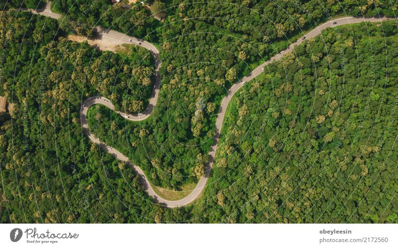 Draufsicht der Luft Draufsicht der Straße durch die Bäume, ruhig Ferien & Urlaub & Reisen Tourismus Ausflug Sommer Natur Landschaft Nebel Baum Gras Blatt Park