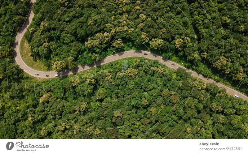 Draufsicht der Luft Draufsicht der Straße durch die Bäume, ruhig Ferien & Urlaub & Reisen Tourismus Ausflug Sommer Natur Landschaft Nebel Baum Gras Blatt Park