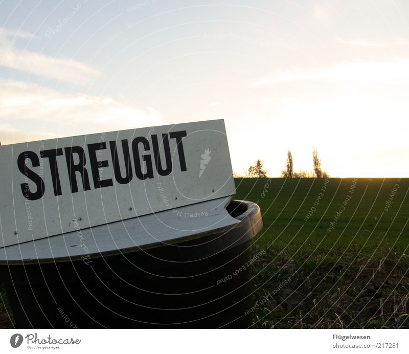 = RUTSCHSCHLECHT Ferne Umwelt Natur Landschaft Winter Klima Wetter Wiese Feld Streusalz Streugut Farbfoto Außenaufnahme Dämmerung Sonnenlicht Textfreiraum oben