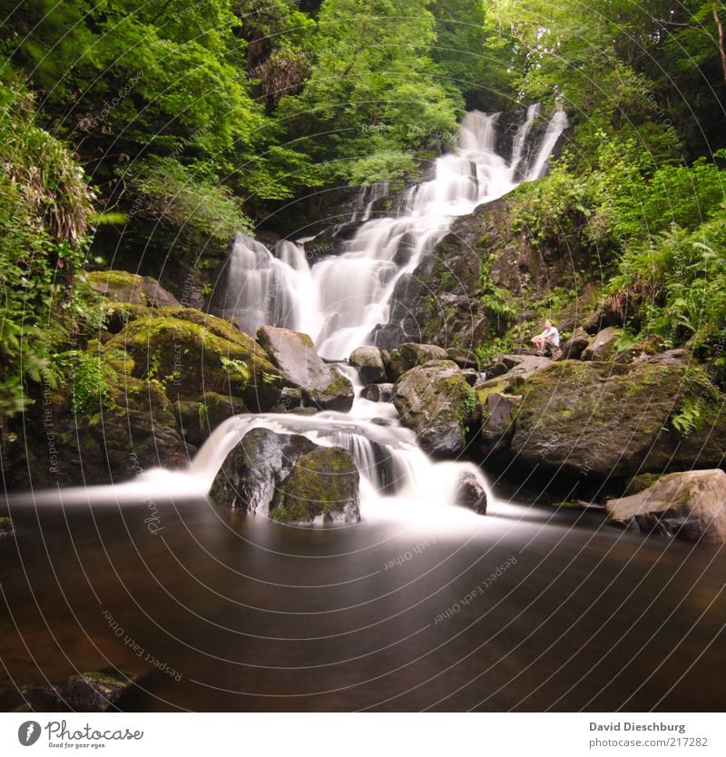 Natur pur Landschaft Pflanze Wasser Frühling Sommer Baum Moos Grünpflanze Wald Felsen Flussufer Bach Wasserfall braun grün weiß Republik Irland