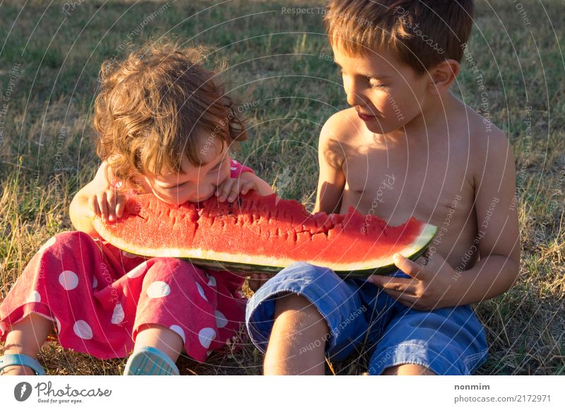 Geschwister, die riesige Scheibe der reifen Sommerwassermelone essen Frucht Freude Kind Junge Schwester Wärme Wiese Lächeln saftig rot Gesundheit Wassermelone