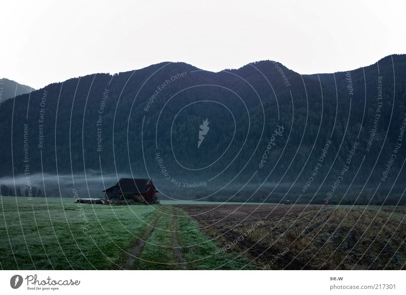 Bild #217079 != #217301 (Antholz [2]) Herbst Feld Alpen Berge u. Gebirge Tal Hütte Bauernhof Einsamkeit Nebelschleier Antholzer Tal Südtirol Farbfoto