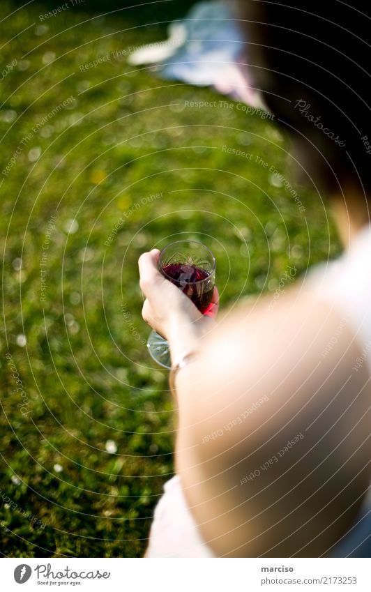 Wein Picknick Getränk trinken Alkohol Glas Weinglas Lifestyle Stil Freude Freizeit & Hobby Camping Sommerurlaub Garten Feste & Feiern Essen Junge Frau