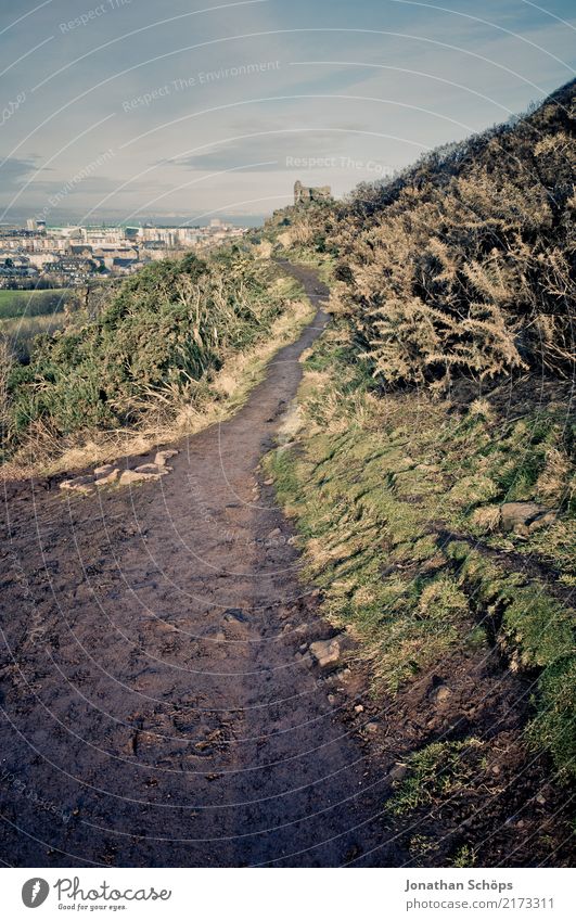 Weg zum Arthur's Seat, Edinburgh Umwelt Natur Landschaft Sommer Herbst Schönes Wetter Gras Hügel Berge u. Gebirge ästhetisch Abenteuer Beginn anstrengen