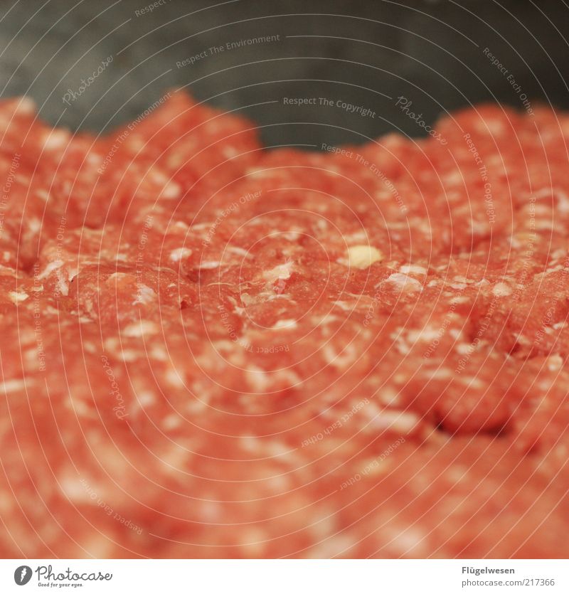 Peter Hacke Lebensmittel Fleisch Wurstwaren Ernährung Hackfleisch Hackepeter Farbfoto Innenaufnahme Unschärfe roh Fleischgerichte Fleischskandal Hintergrundbild