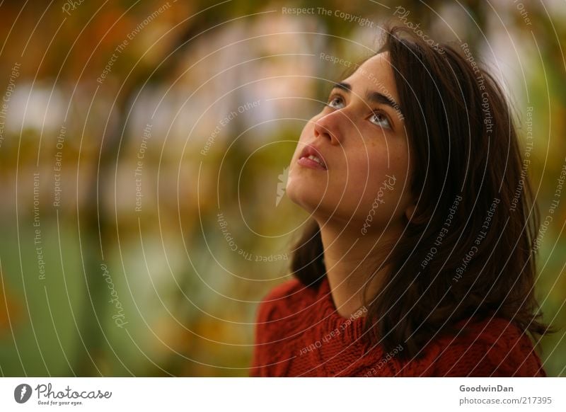 Träume Mensch feminin Junge Frau Jugendliche Erwachsene 1 18-30 Jahre Umwelt Natur Haare & Frisuren brünett schön Gefühle Stimmung träumen Blick Erwartung