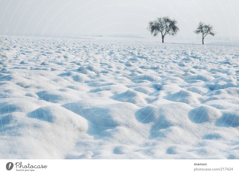 Frost Umwelt Natur Landschaft Erde Winter Eis Schnee Baum Winterstimmung Wintertag Winterpause Feld Hügel Schneelandschaft Schneedecke frisch kalt Einsamkeit