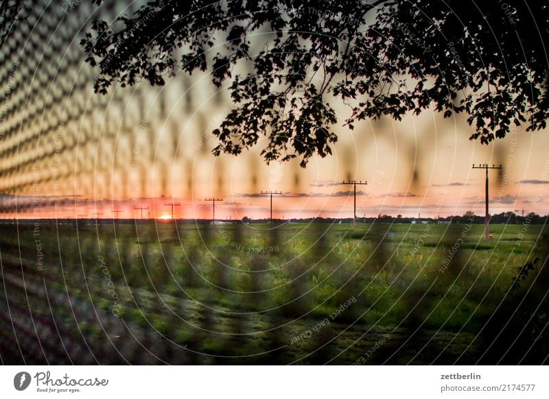 Tegel schließen! TXL Flughafen Berlin-Tegel Flugplatz Gitter Zaun Maschendrahtzaun Metallzaun Sonne Sonnenuntergang Horizont Ferne Wiese Weide Gras Textfreiraum