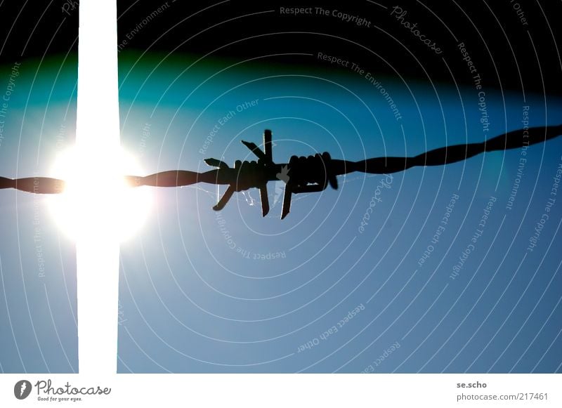 LIBERTÉ Himmel Wolkenloser Himmel Sonne Sonnenlicht Schönes Wetter bedrohlich rebellisch blau Gefühle Stimmung Optimismus Kraft Willensstärke Macht Sicherheit