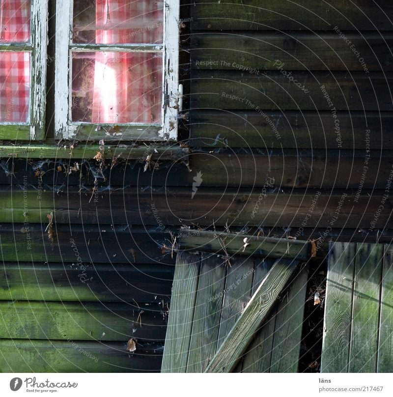 Hüttenromantik alt Holz Gardine Fenster dreckig kariert Spinngewebe Holzbrett Fensterladen Fensterscheibe Textfreiraum rechts Textfreiraum unten Menschenleer