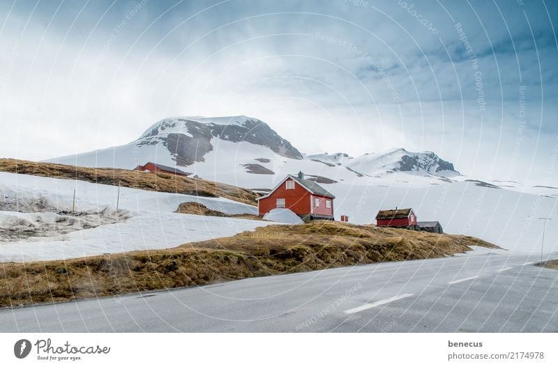 Rückzugsort Umwelt Natur Landschaft Pflanze Erde Himmel Wolken Winter Berge u. Gebirge rot ruhig Norwegen Haus Holzhaus Norweger Skandinavien Einsamkeit