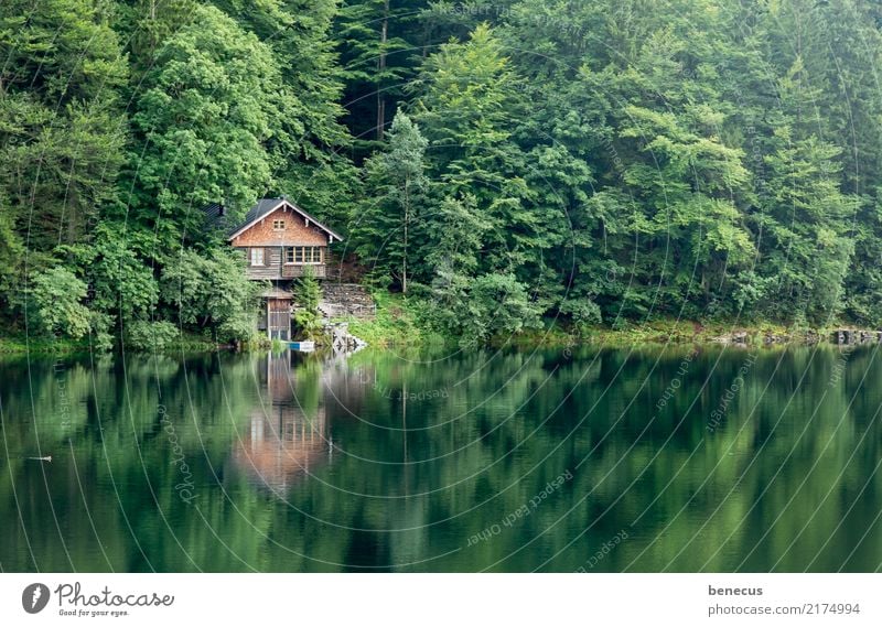 Stille am See Umwelt Natur Landschaft Pflanze Wasser Sommer Baum Wald Freibergsee Hütte grün Idylle Symmetrie Reflexion & Spiegelung Glätte ruhig Holzhaus