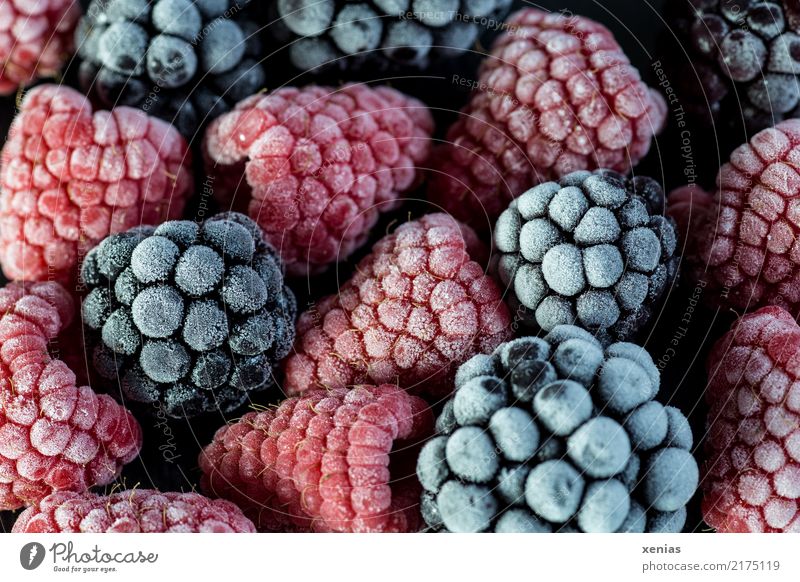 Tiefgekühlte Himbeeren und Brombeeren Frucht Bioprodukte Vegetarische Ernährung Gesunde Ernährung Sommer Herbst frieren Gesundheit kalt lecker süß rot schwarz