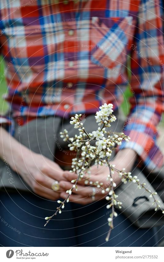 Achtsamkeit Wellness harmonisch Wohlgefühl Zufriedenheit Sinnesorgane Erholung ruhig Meditation Duft Hand 1 Mensch weiß Mitgefühl gehorsam friedlich Güte